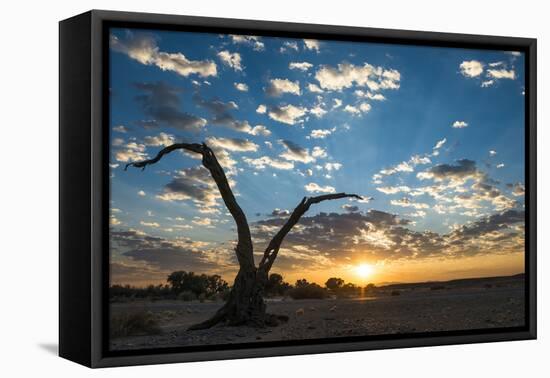 Sunrise Landscape in Sossusvlei, Namibia, July 2014-Wim van den Heever-Framed Stretched Canvas