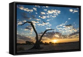 Sunrise Landscape in Sossusvlei, Namibia, July 2014-Wim van den Heever-Framed Stretched Canvas