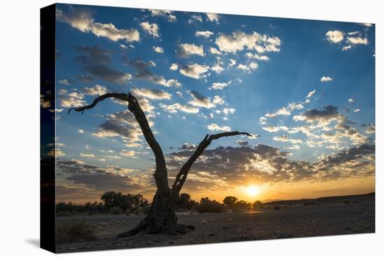 Sunrise Landscape in Sossusvlei, Namibia, July 2014-Wim van den Heever-Stretched Canvas