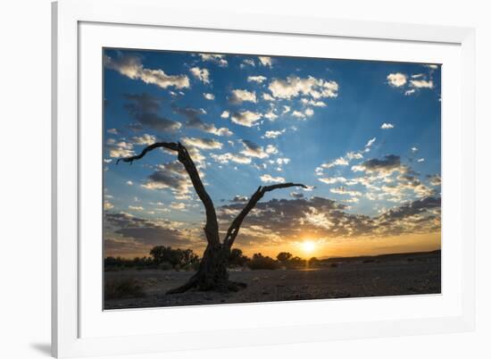 Sunrise Landscape in Sossusvlei, Namibia, July 2014-Wim van den Heever-Framed Photographic Print