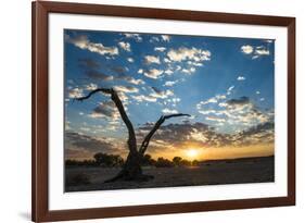 Sunrise Landscape in Sossusvlei, Namibia, July 2014-Wim van den Heever-Framed Photographic Print