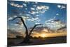 Sunrise Landscape in Sossusvlei, Namibia, July 2014-Wim van den Heever-Mounted Photographic Print