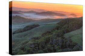 Sunrise Light and Green Hills, Sonoma County-Vincent James-Stretched Canvas
