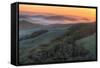 Sunrise Light and Green Hills, Sonoma County-Vincent James-Framed Stretched Canvas