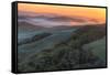 Sunrise Light and Green Hills, Sonoma County-Vincent James-Framed Stretched Canvas