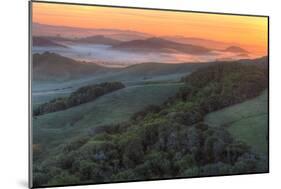 Sunrise Light and Green Hills, Sonoma County-Vincent James-Mounted Photographic Print