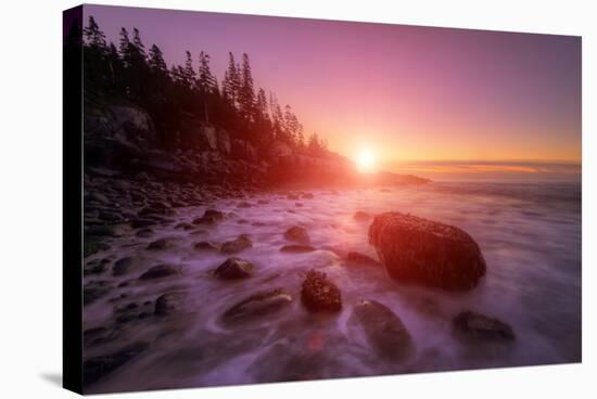 Sunrise Light and The Atlantic Coast, Maine-Vincent James-Stretched Canvas