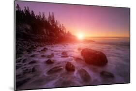 Sunrise Light and The Atlantic Coast, Maine-Vincent James-Mounted Photographic Print