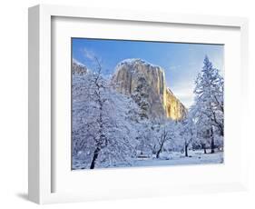 Sunrise Light Hits El Capitan Through Snowy Trees in Yosemite National Park, California, USA-Chuck Haney-Framed Photographic Print