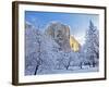 Sunrise Light Hits El Capitan Through Snowy Trees in Yosemite National Park, California, USA-Chuck Haney-Framed Photographic Print