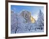 Sunrise Light Hits El Capitan Through Snowy Trees in Yosemite National Park, California, USA-Chuck Haney-Framed Photographic Print