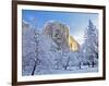 Sunrise Light Hits El Capitan Through Snowy Trees in Yosemite National Park, California, USA-Chuck Haney-Framed Photographic Print