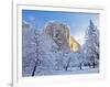 Sunrise Light Hits El Capitan Through Snowy Trees in Yosemite National Park, California, USA-Chuck Haney-Framed Photographic Print