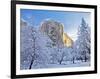 Sunrise Light Hits El Capitan Through Snowy Trees in Yosemite National Park, California, USA-Chuck Haney-Framed Photographic Print