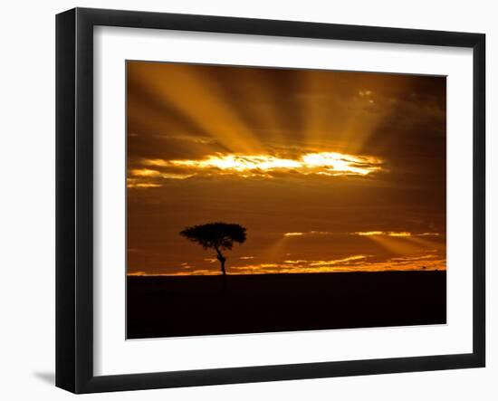 Sunrise, Maasai Mara, Kenya-Joe Restuccia III-Framed Photographic Print