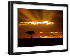 Sunrise, Maasai Mara, Kenya-Joe Restuccia III-Framed Photographic Print