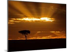 Sunrise, Maasai Mara, Kenya-Joe Restuccia III-Mounted Photographic Print