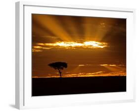 Sunrise, Maasai Mara, Kenya-Joe Restuccia III-Framed Photographic Print