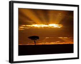 Sunrise, Maasai Mara, Kenya-Joe Restuccia III-Framed Photographic Print