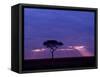 Sunrise, Maasai Mara, Kenya-Joe Restuccia III-Framed Stretched Canvas