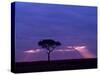 Sunrise, Maasai Mara, Kenya-Joe Restuccia III-Stretched Canvas