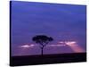 Sunrise, Maasai Mara, Kenya-Joe Restuccia III-Stretched Canvas