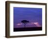 Sunrise, Maasai Mara, Kenya-Joe Restuccia III-Framed Photographic Print