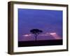 Sunrise, Maasai Mara, Kenya-Joe Restuccia III-Framed Photographic Print