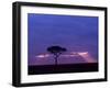 Sunrise, Maasai Mara, Kenya-Joe Restuccia III-Framed Photographic Print