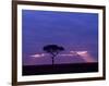 Sunrise, Maasai Mara, Kenya-Joe Restuccia III-Framed Photographic Print