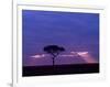 Sunrise, Maasai Mara, Kenya-Joe Restuccia III-Framed Photographic Print