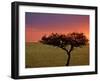 Sunrise, Maasai Mara, Kenya-Joe Restuccia III-Framed Photographic Print