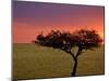 Sunrise, Maasai Mara, Kenya-Joe Restuccia III-Mounted Photographic Print