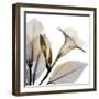 Sunrise Mandelilla-Albert Koetsier-Framed Photographic Print