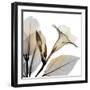 Sunrise Mandelilla-Albert Koetsier-Framed Photographic Print