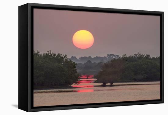 Sunrise, Mangroves and Water, Merritt Island Nwr, Florida-Rob Sheppard-Framed Stretched Canvas