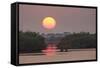 Sunrise, Mangroves and Water, Merritt Island Nwr, Florida-Rob Sheppard-Framed Stretched Canvas