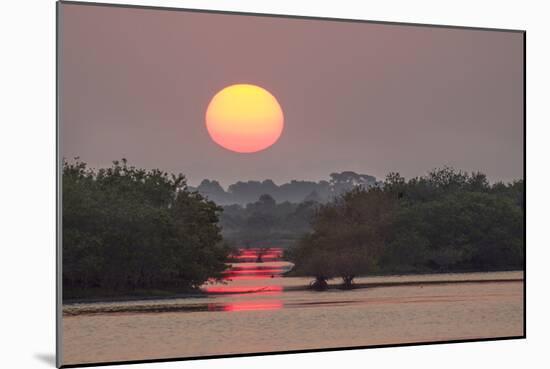 Sunrise, Mangroves and Water, Merritt Island Nwr, Florida-Rob Sheppard-Mounted Photographic Print