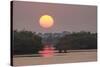 Sunrise, Mangroves and Water, Merritt Island Nwr, Florida-Rob Sheppard-Stretched Canvas