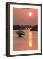 Sunrise, Mangroves and Water, Merritt Island Nwr, Florida-Rob Sheppard-Framed Photographic Print