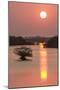 Sunrise, Mangroves and Water, Merritt Island Nwr, Florida-Rob Sheppard-Mounted Photographic Print