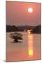 Sunrise, Mangroves and Water, Merritt Island Nwr, Florida-Rob Sheppard-Mounted Photographic Print