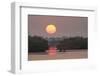 Sunrise, Mangroves and Water, Merritt Island Nwr, Florida-Rob Sheppard-Framed Photographic Print