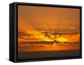 Sunrise, Maroochydore, Sunshine Coast, Queensland, Australia-David Wall-Framed Stretched Canvas