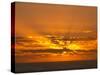 Sunrise, Maroochydore, Sunshine Coast, Queensland, Australia-David Wall-Stretched Canvas