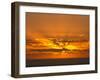 Sunrise, Maroochydore, Sunshine Coast, Queensland, Australia-David Wall-Framed Photographic Print