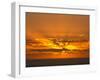 Sunrise, Maroochydore, Sunshine Coast, Queensland, Australia-David Wall-Framed Photographic Print