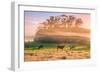 Sunrise Mist and Cows Petaluma Northern California-Vincent James-Framed Photographic Print