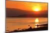 Sunrise, Mono Lake, California-Adam Jones-Mounted Photographic Print