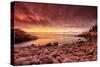 Sunrise, Monument Cove-Michael Hudson-Stretched Canvas